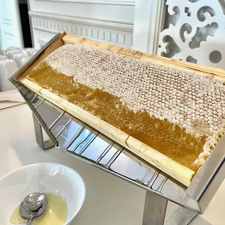 Grand Caraiman Hotel 4*