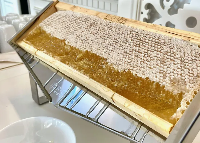 Grand Caraiman Hotel 4*